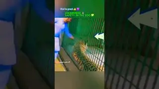Awareness 🙏 Safety in the ZOO #shortsvideo #shortsviral #shorts