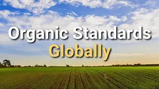 Global Organic Standards: Building a Sustainable Future