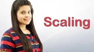 How to Scale Objects in Adobe Illustrator - Basic Tutorial Chapter 6 Video 6