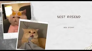 Best Friend | Short English Story That Will Melt Your Heart