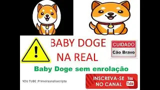 A_verdade_sobre_a_BabyDoge#babydoge#invernocripto#quedadababydoge