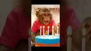 &ldquo;Cute Monkey Birthday Cake Cutting 🎂🐒&rdquo; #MonkeyBirthday #CuteMonkey