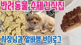 강아지 수제간식집 브이로그 / 수제간식 브이로그 / 애견동반출근