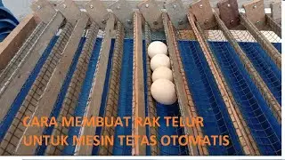 CARA MEMBUAT RAK TELUR UNTUK MESIN TETAS OTOMATIS