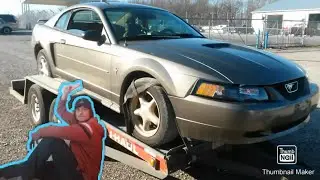 Bought cheap Mustang from auto auction - flipping cars for profit