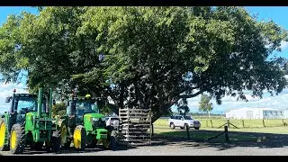Client Testimonial - Sippel Farm