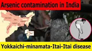 Arsenic Contamination in India | Yokkaichi-minamata-Itai-Itai disease | News Simplified | ForumIAS