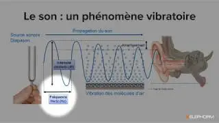 Tutoriel Serum | Etude du son