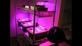 Hydroponics Setup UPDATE - Lessons Learned