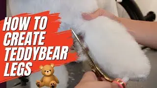 HOW TO CREATE TEDDY BEAR LEGS- DOG GROOMING TUTORIAL 🐶🧸