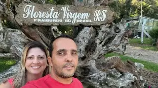 Floresta Ren&eacute; Frey em Fraiburgo e videira