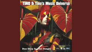 Bus Stop In The Jungle