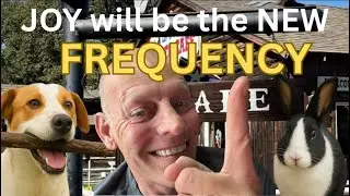 Joy Will Be the New Frequency &mdash; Raise Yours Today!