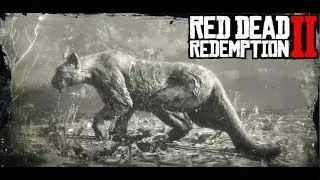 RDR 2 Den Panther super schnell finden und erledigen | Florida-Panther