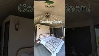 New for Malaika Camps and Lodges #youtubeshorts