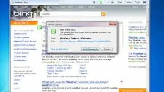 Internet Explorer 8.