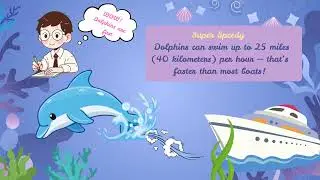 Fun Facts About Dolphins | Amazing Dolphin Facts for Kids | Dolphins Are Amazing!