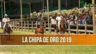 Evento: La Chipa de Oro 2019- TvAgro por Juan Gonzalo Angel