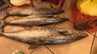 chợ cá gần tết chỉ còn một con nước cá biển vô.nay có gì rẻ