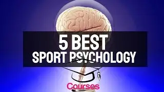 5 Best Sport Psychology Courses Udemy (98.1% Success!)