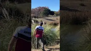 This shot was too good it was almost bad🤣 #discgolfer #discgolf