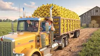 Monkey Driving the Truck Carrying Bananas and Friends to Harvest Fruit on the Farm🎉🐒 | Farm Life