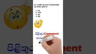 OL Science Question 04