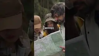 Surviving a Grid Down. Who Does What?