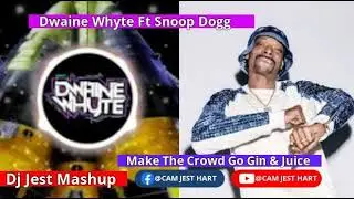 Dwaine Whyte Ft Snoop Dogg Make The Crowd Go Gin & Juice 2025 Remix