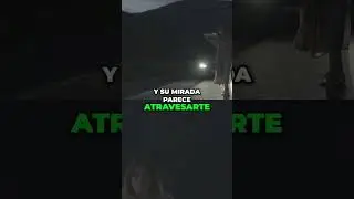 &iexcl;Aterrador! Mujer espectral desaparece en la carretera  &iquest;Misterio sin resolver #miedo #datoscurisos