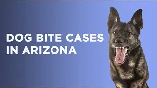 Dog Bite Cases in Arizona: Legal Insights by Matt Riggs at East Valley Injury Law | Mesa, Arizona