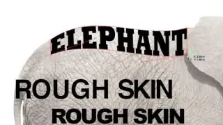Animal Calligram Tutorial