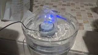 Cleaner, Fresher Water for Pets | Brook Glass Fountain Review
