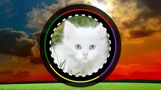 Circle Logo Animation | HTML | CSS