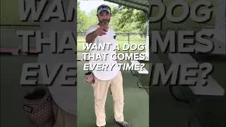 Dog Comes Every Time! 4 Simple Steps to Reliable Recall