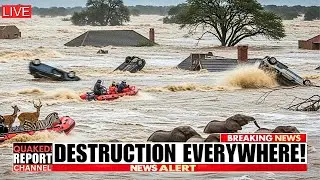 🚨 BREAKING!: Devastating Floods Overrun Kruger National Park! Majority Homes Washed Away in Limpopo!