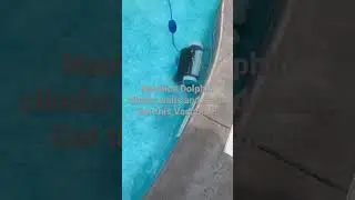 The Best In-ground Pool Cleaner-The Nautilus Dolphin is a Boss!