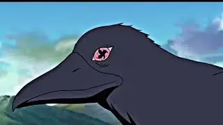 Birds Of A Feather (AMV) Feat Mo Prophet & JVK