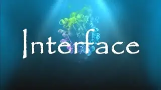 Interface: A Webinar Series on Literature and Beyond (Session I)