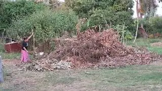 H&oslash;stens tid i Thailand: Familien samler naturens gaver 🇹🇭