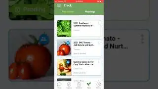 Reviewing your breeding trial with SeedLinked mobile app