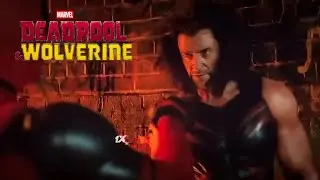 Wolverine 