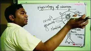 # physiology of neuron @ badal Kumar teach medical channel 