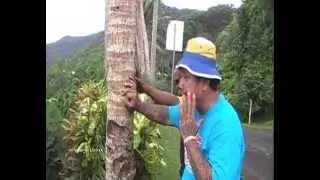 Tamaiti mai ku a
