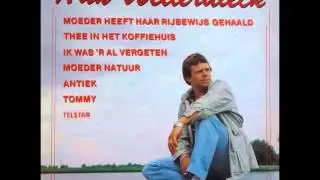 Han Wellerdieck -  Willemein