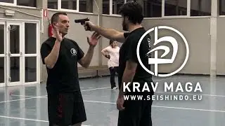 KRAV MAGA -DISARMO PISTOLA - LE TECNICHE