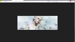 WordPress Theme Development - Class 8