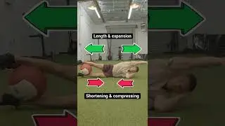 This Is The KEY To Fixing Lateral Pelvic Tilt & Asymmetrical Hips #posture #posturecorrection
