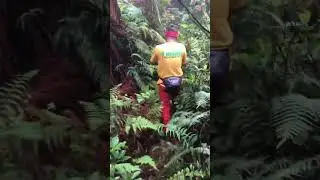 Jalur puncak sela