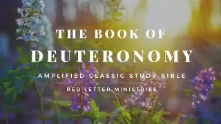 Deuteronomy AMPC Study Bible | With Words | Read-Along Full Text